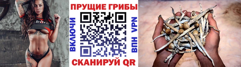 Галлюциногенные грибы прущие грибы  хочу   Минеральные Воды 