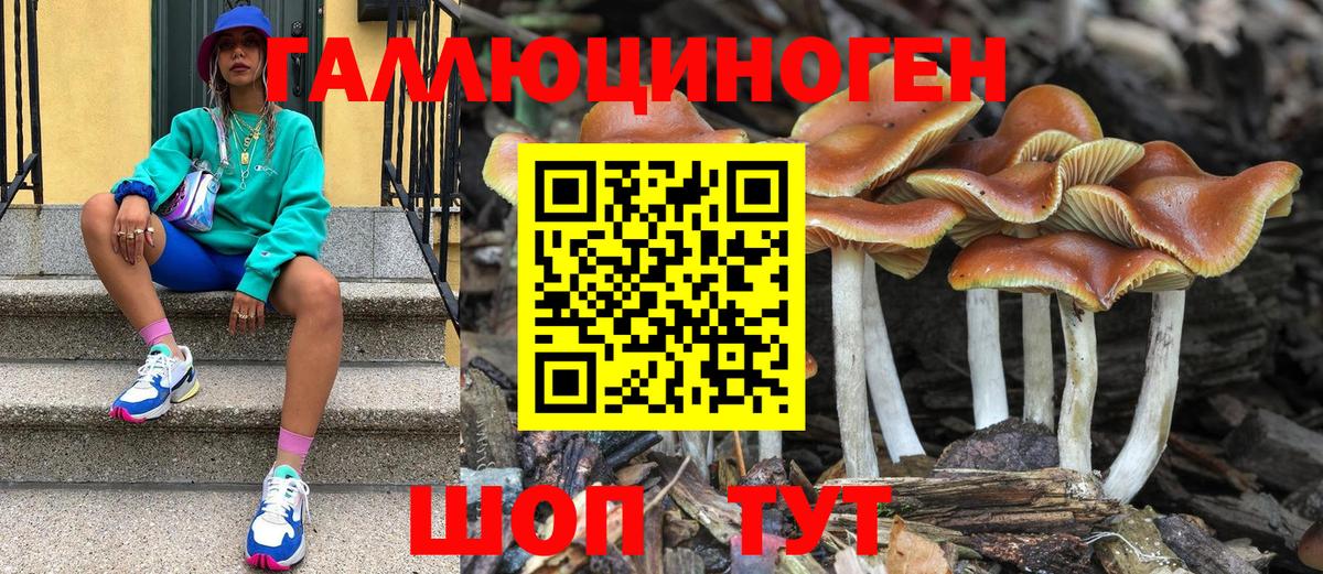 Галлюциногенные грибы Cubensis Минеральные Воды