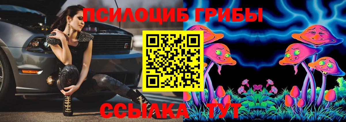 Псилоцибиновые грибы Cubensis  Вход с VPN  Минеральные Воды 